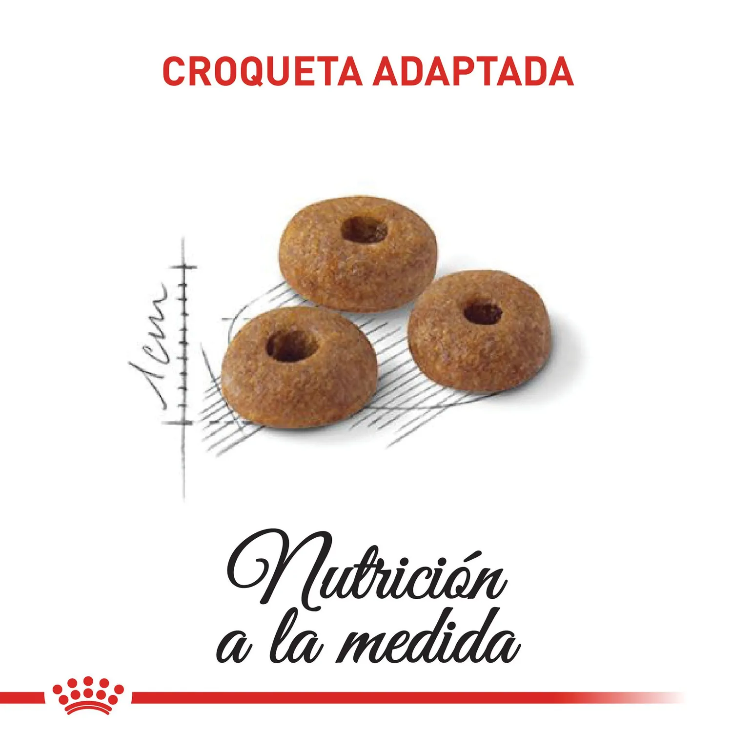 Comida Seca Para Gato Adulto Fit 32 Royal Canin 2 Kg 4