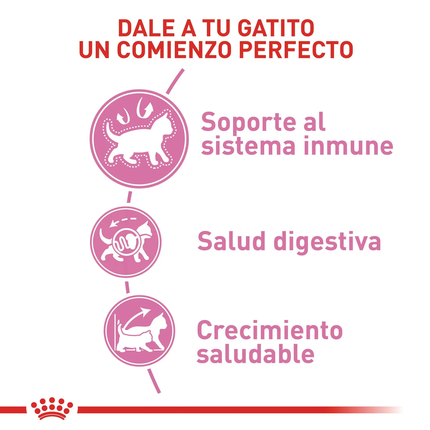 Comida Seca Para Gato Especial Gatito Royal Canin 2 Kg 3