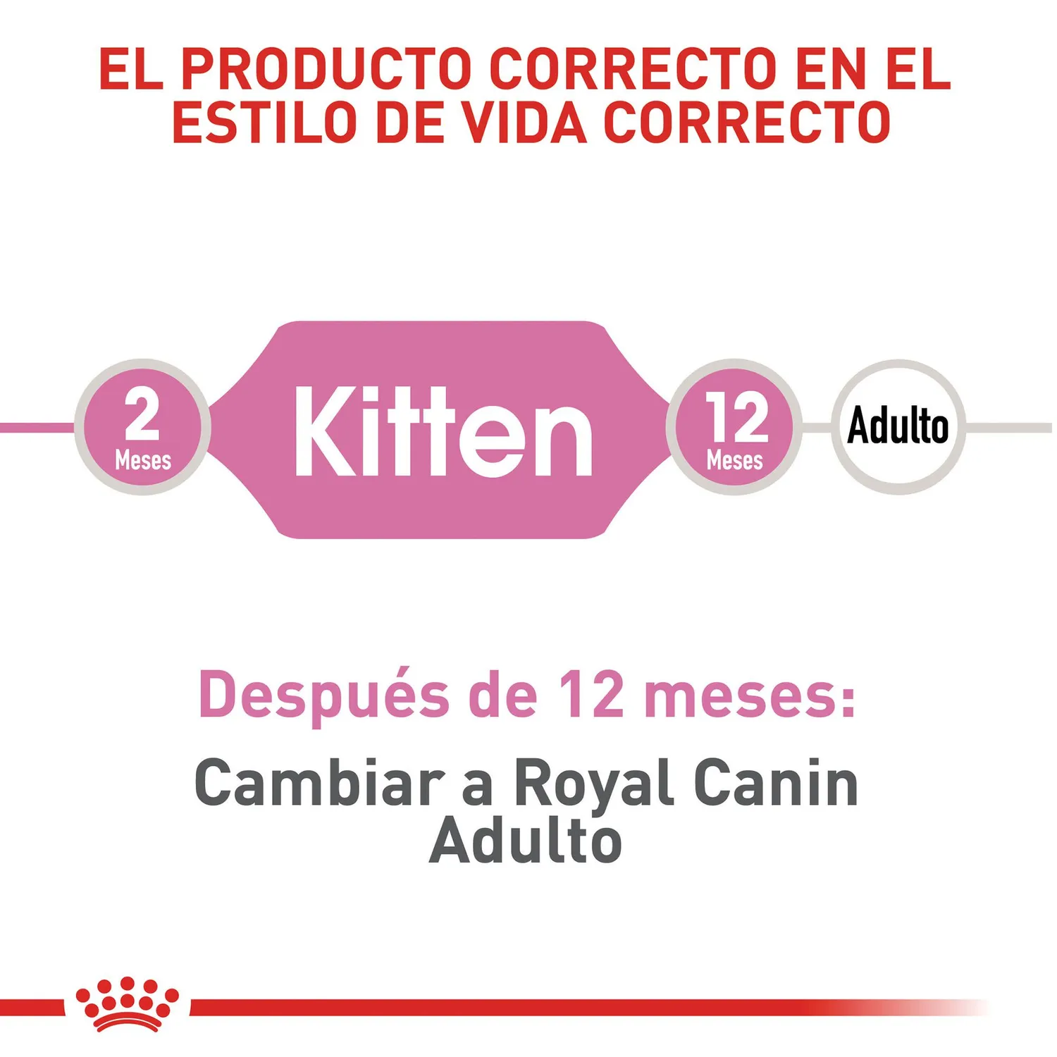 Comida Seca Para Gato Especial Gatito Royal Canin 2 Kg 4