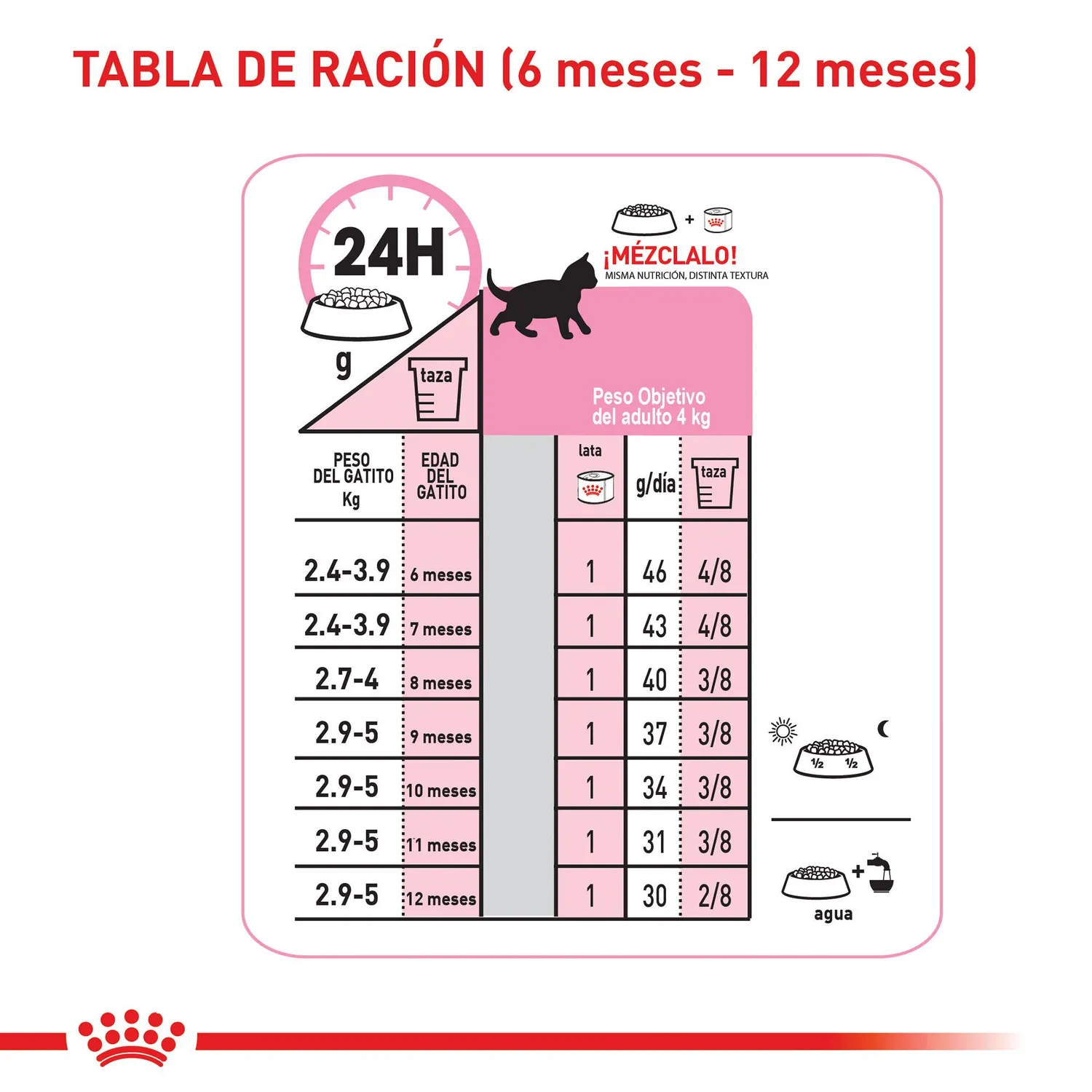 Comida Seca Para Gato Especial Gatito Royal Canin 2 Kg 8