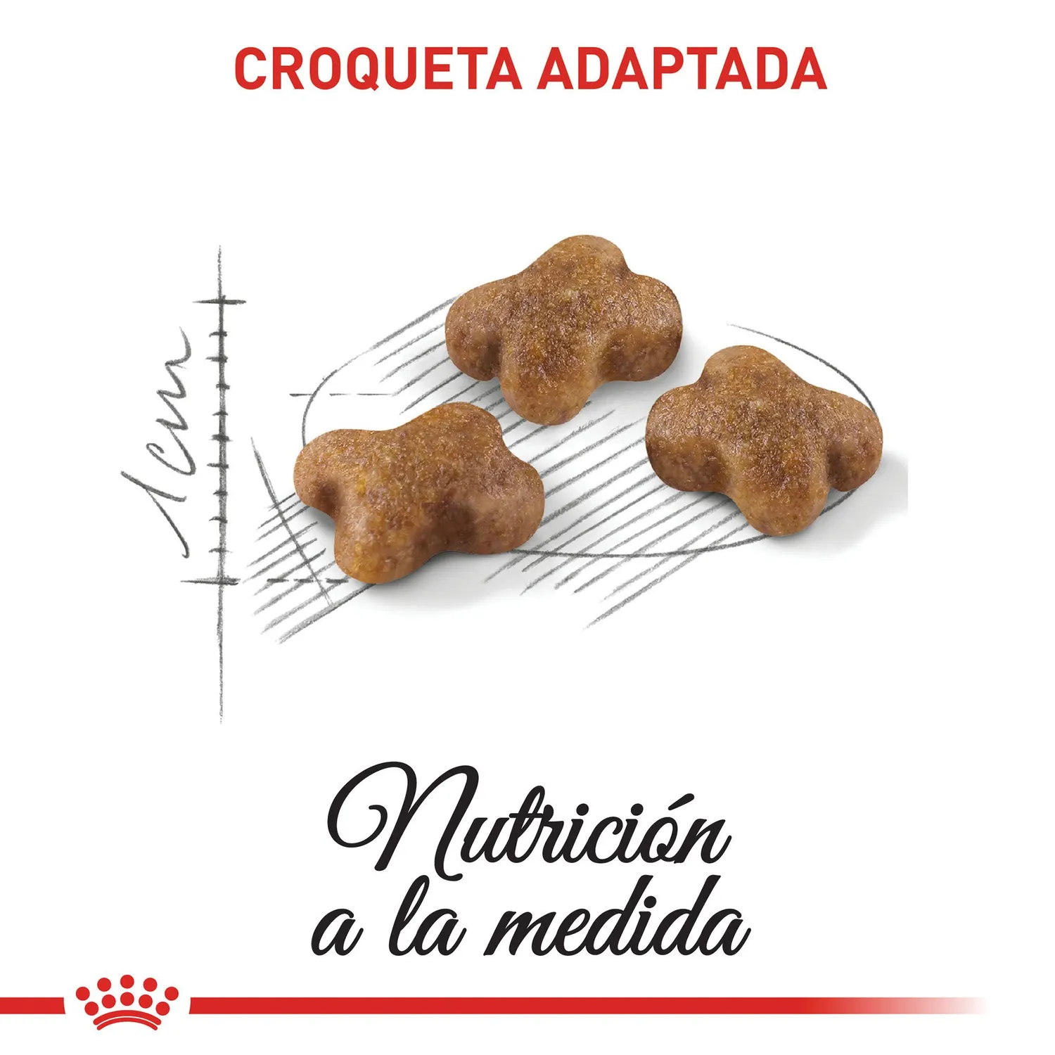Comida Seca Para Gato Especial Gatito Royal Canin 4 Kg 5