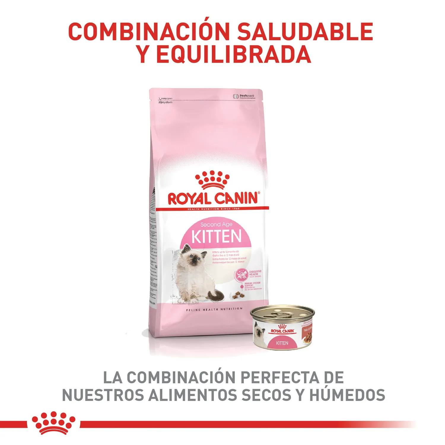 Comida Seca Para Gato Especial Gatito Royal Canin 4 Kg 6