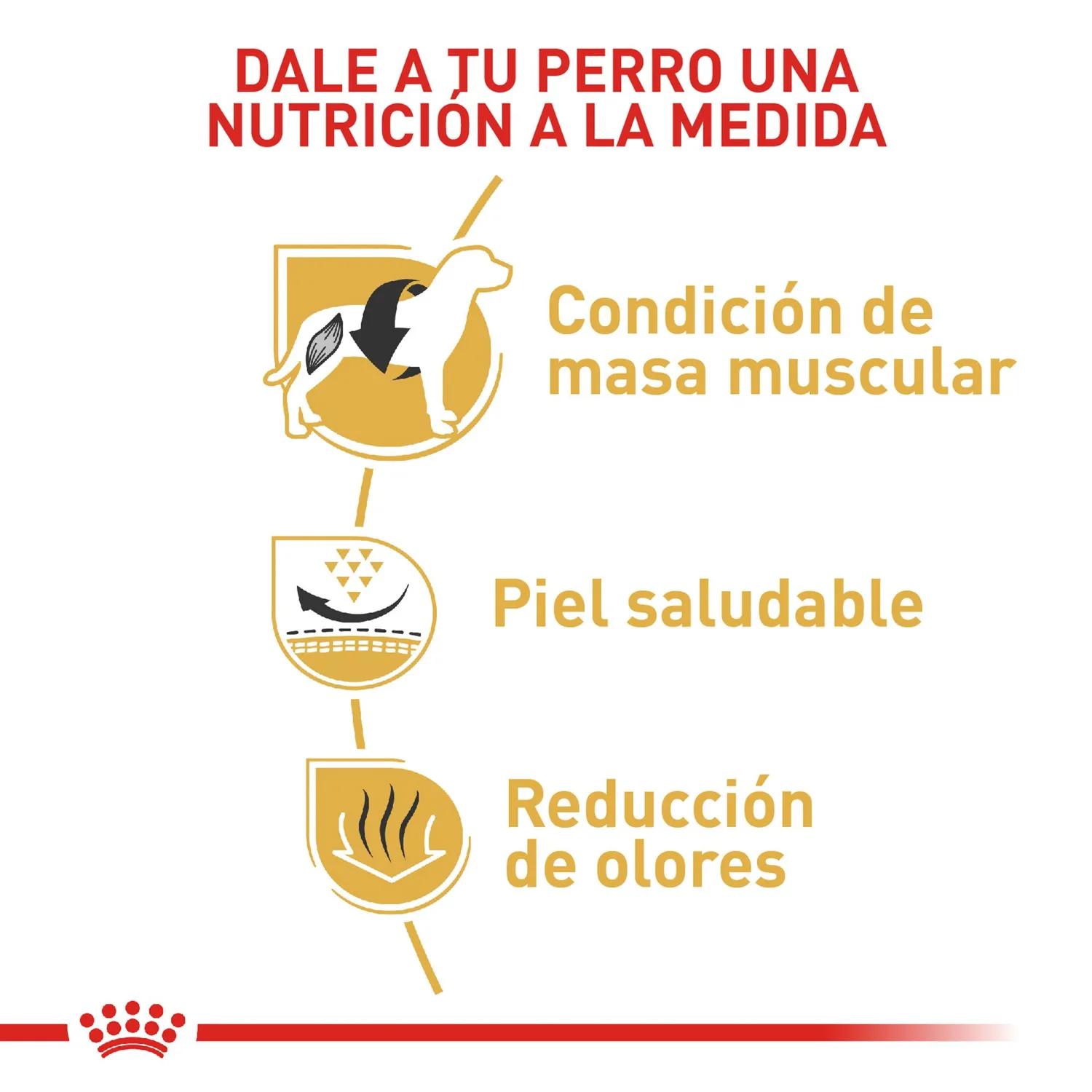 Comida Seca Para Perro Raza Bulldog Frances Adulto Royal Canin 3 Kg 3