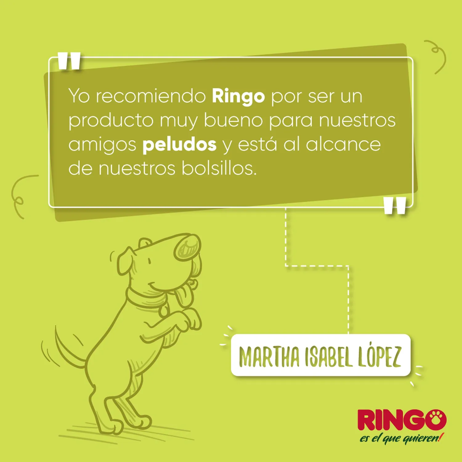 Comida Seca Para Perros Ringo Original 15kg 10