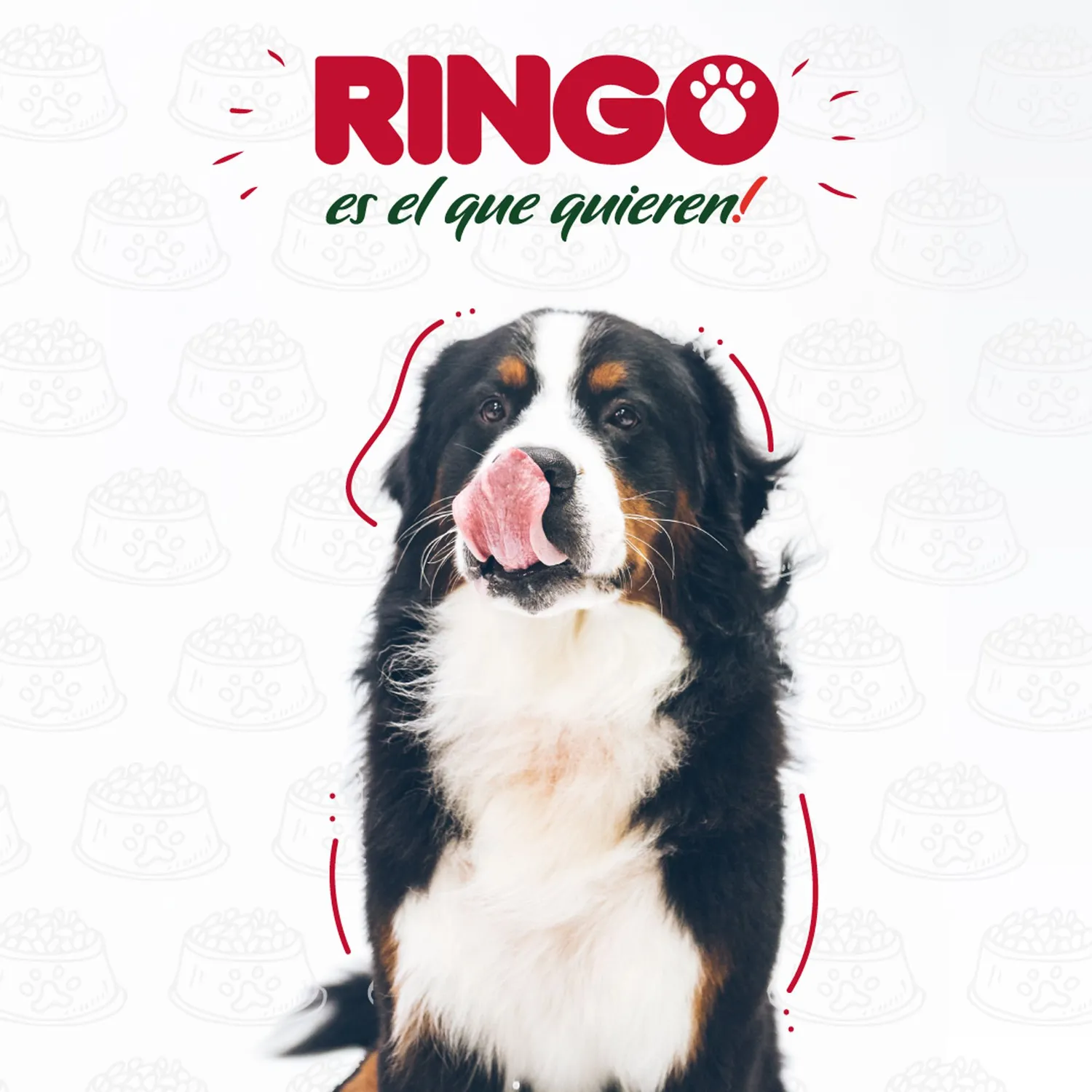 Comida Seca Para Perros Ringo Original Adulto 30 Kg 9
