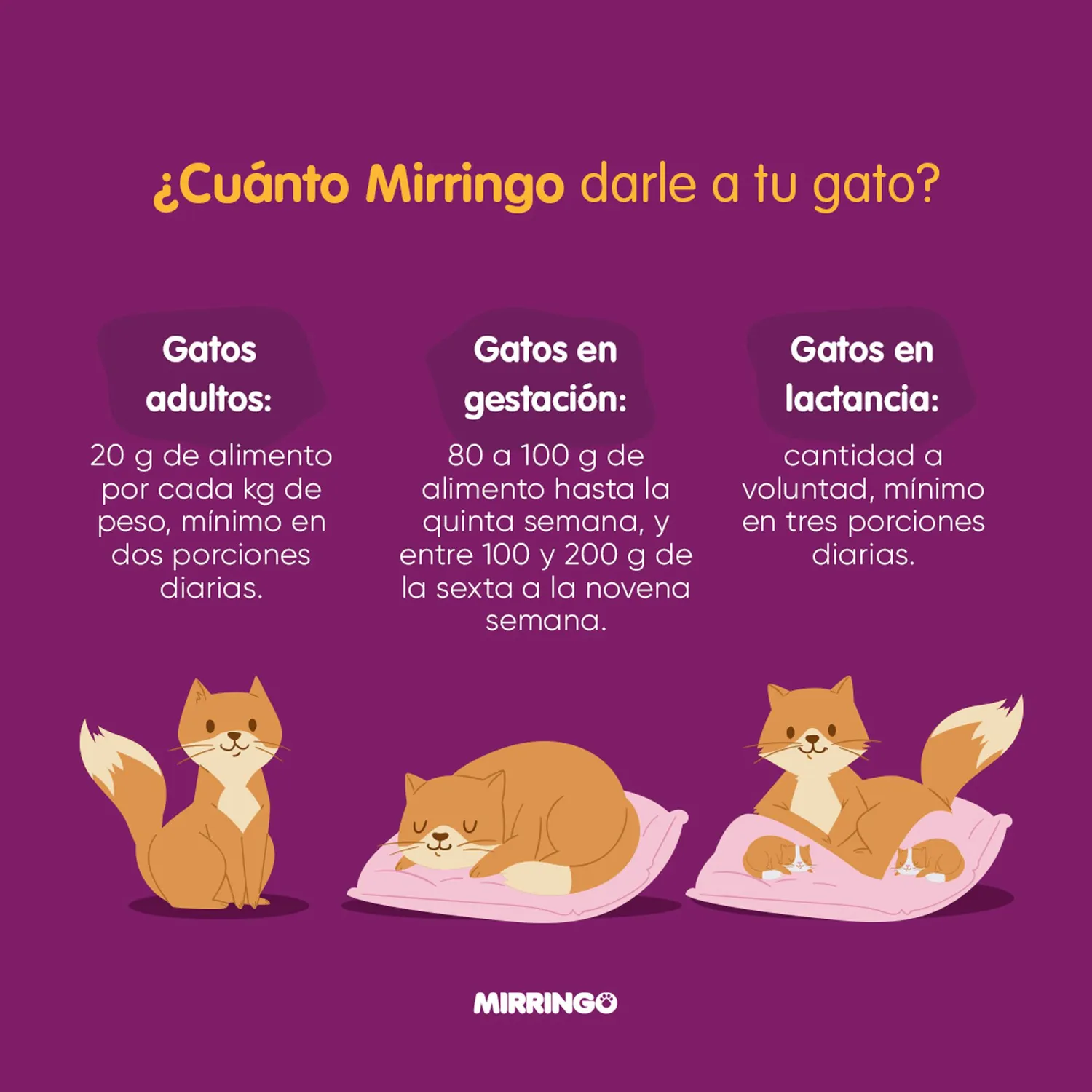 Comida Seca Mirringo Gato Adulto 1 Kg 9
