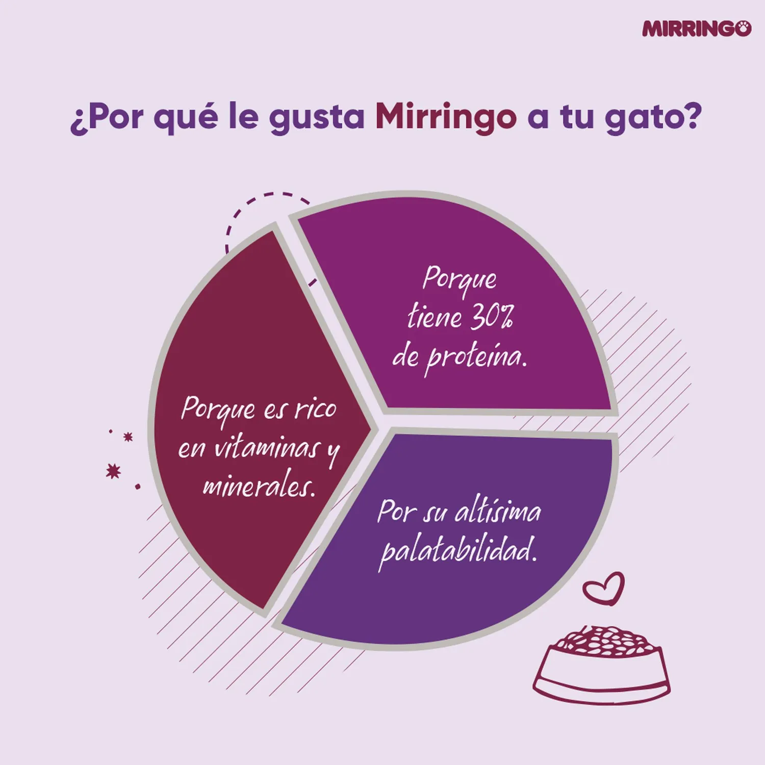 Comida Seca Mirringo Gato Adulto 1 Kg 11
