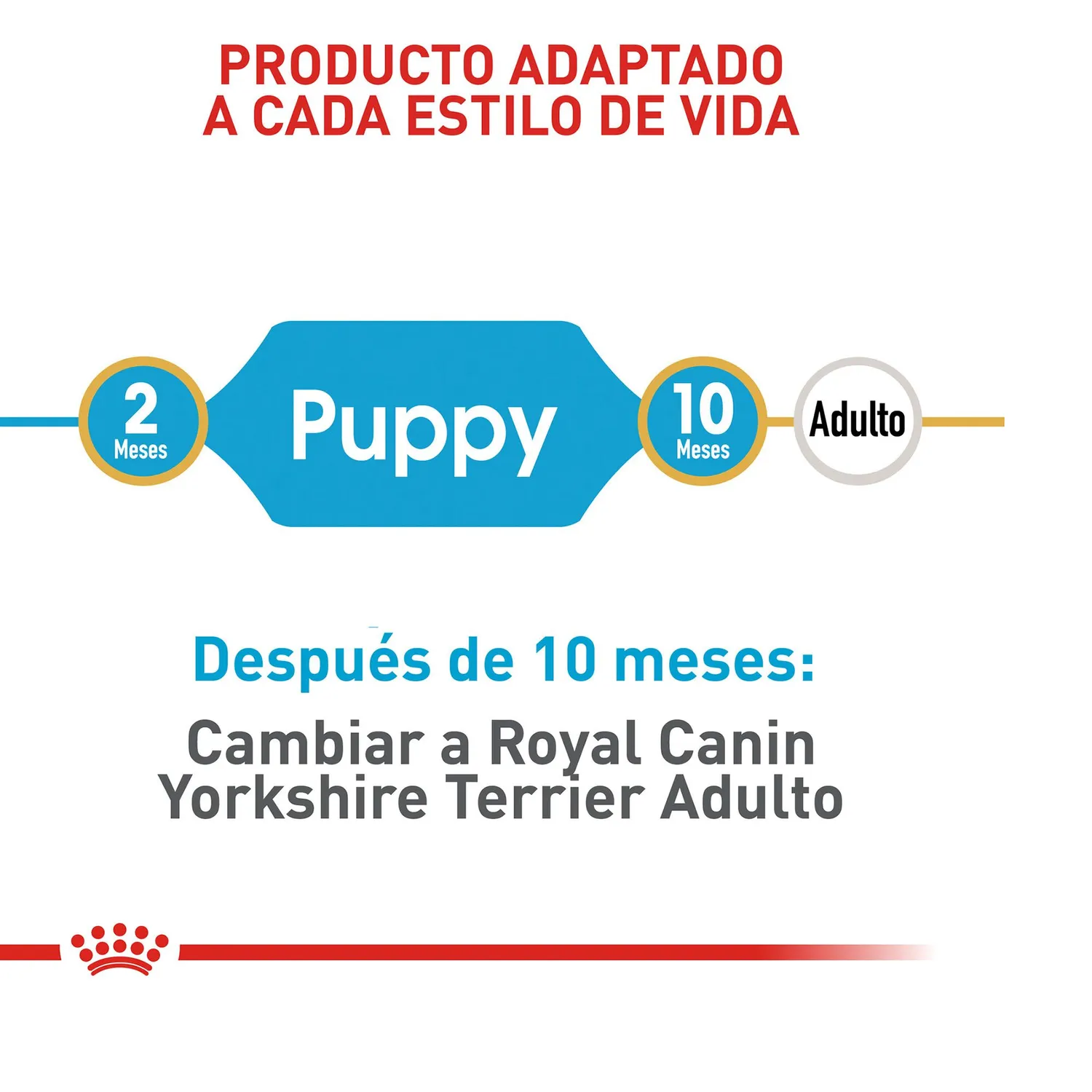 Pc Comida Seca Royal Canin York Shire Puppy 1.13 4