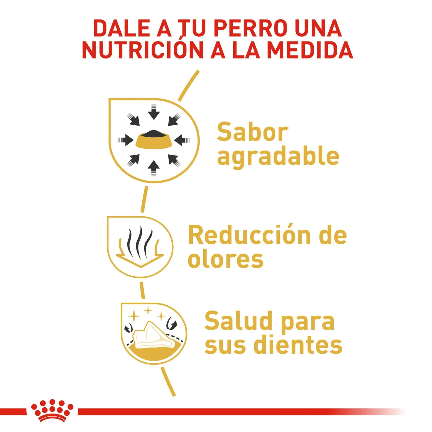 Pc Comida Seca Royal Canin Chihuahua Adulto 1.13 3