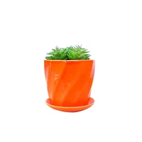 Suculenta Artificial De 12 Cm