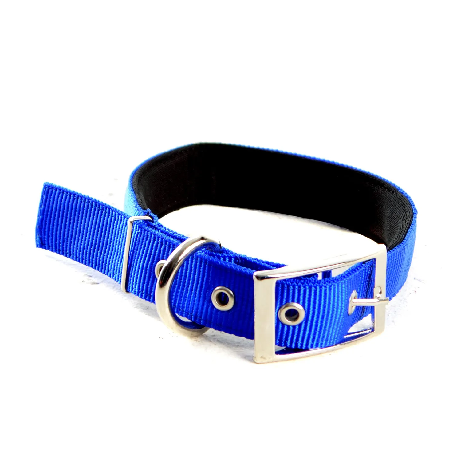 Collar Reata Para Perro Reforzado Pequeño Interpet Azul