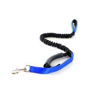 Trailla Para Perro Flex Interpet 120 - 150 Cm Azul