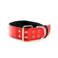 Collar Para Perro Razas Grandes Extra Fuerte En Nylon Interpet Rojo