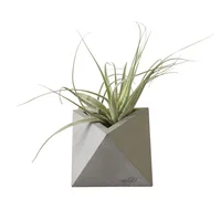 Matera Cemento Octoedro Vivo Boreal 10x9x7cm Gris