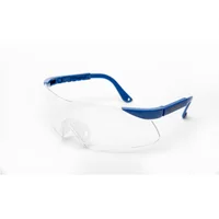 Gafas de seguridad TESEO Lente Claro AF