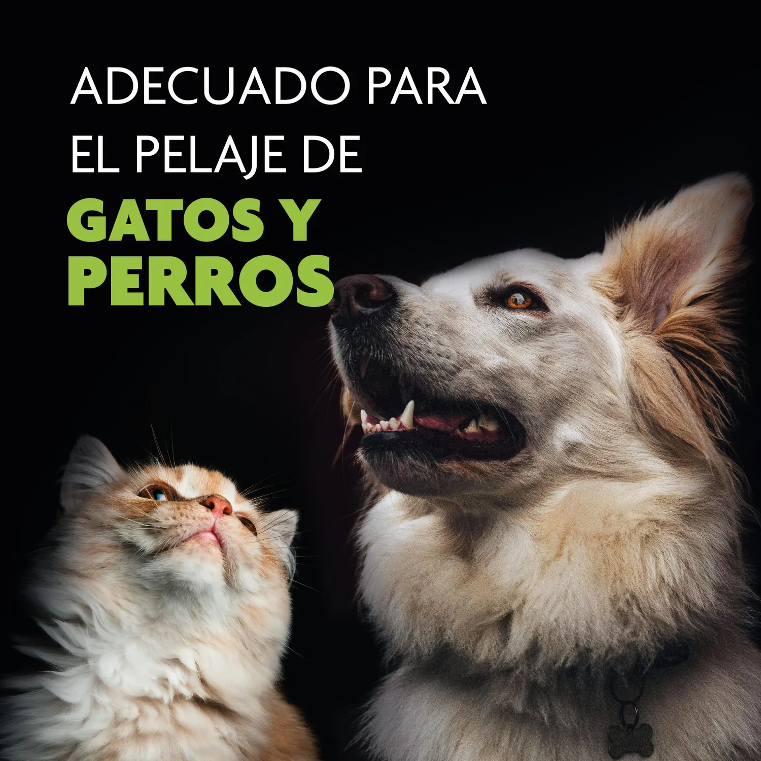 Cepillo Dual Perro/Gato 8