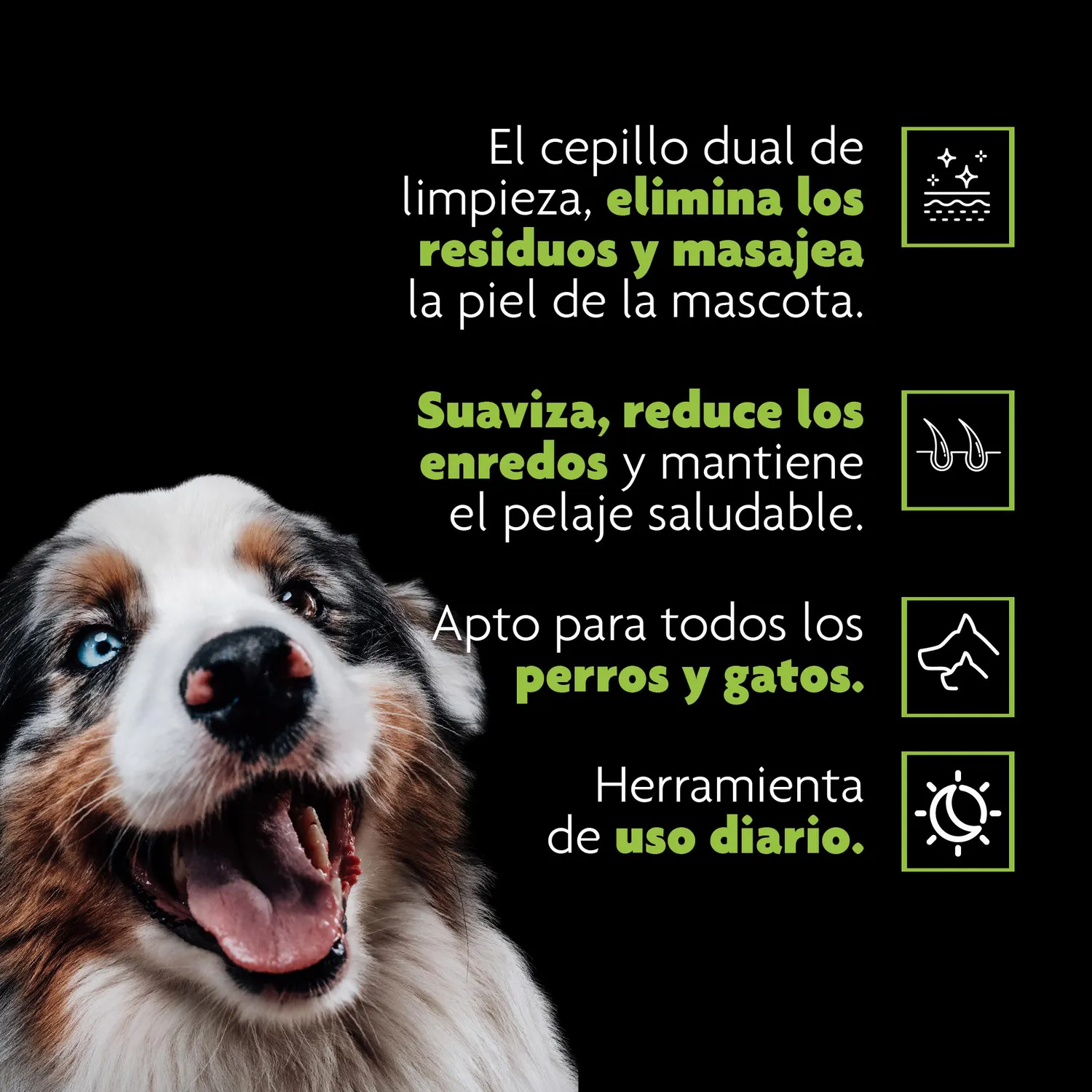 Cepillo Dual Perro/Gato 11