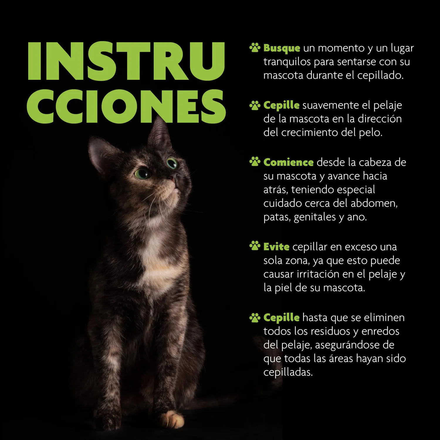 Cepillo Dual Perro/Gato 12