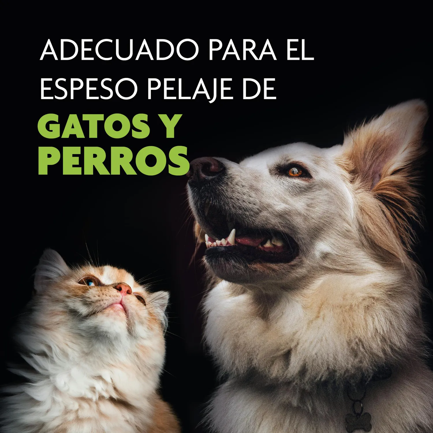 Rastrillo Perro/Gato 9