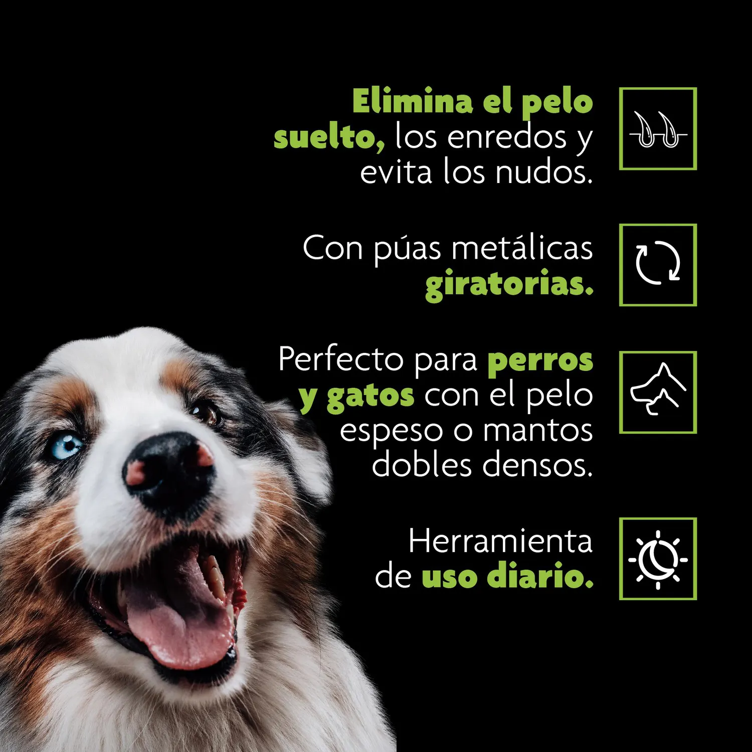 Rastrillo Perro/Gato 11