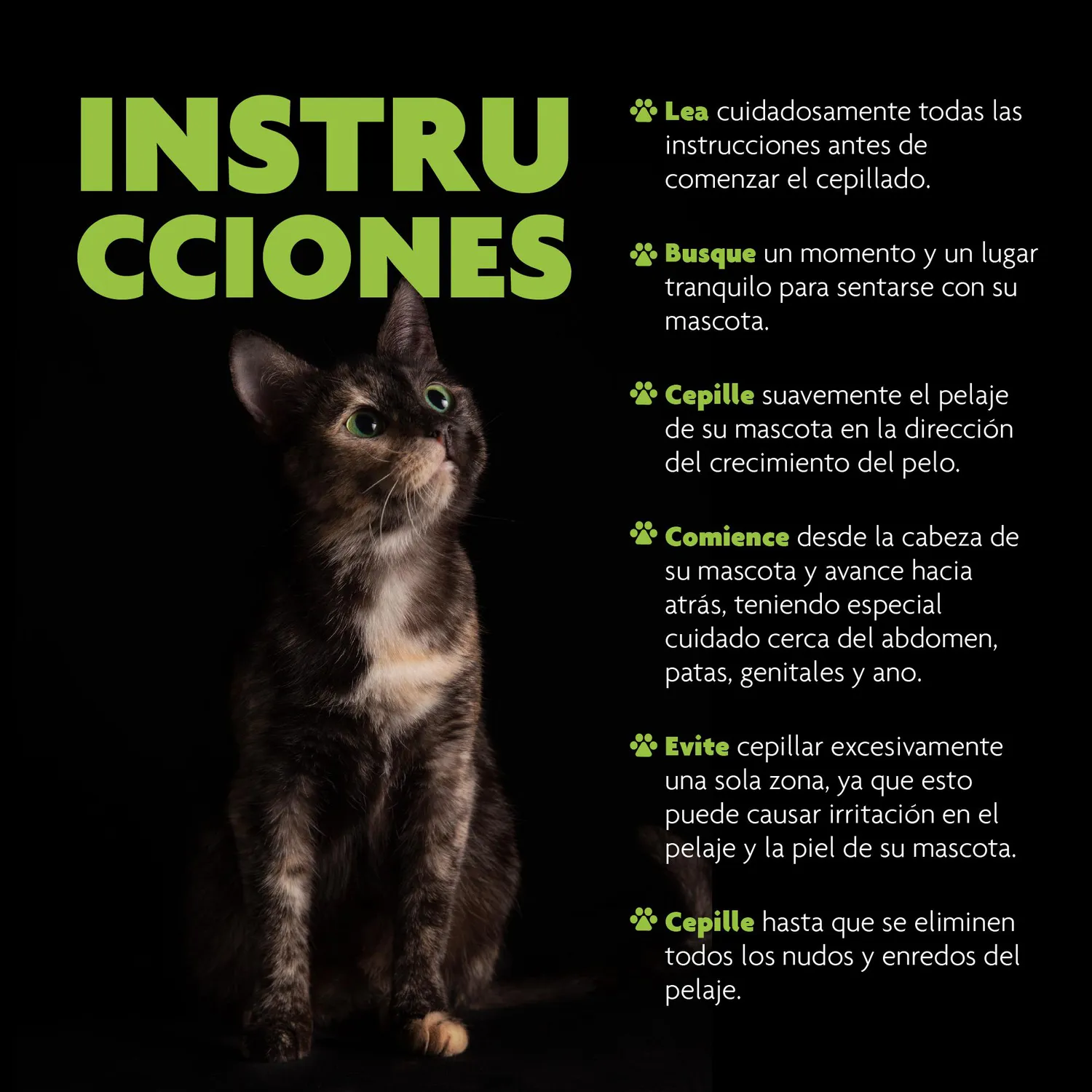 Rastrillo Perro/Gato 12