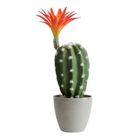 Cactus Artificial Multicolor De 29 Cm