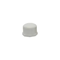 Tapón Roscado 1.1/4 Presión