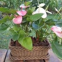 Jardinera Ratán Sintético Tedijo Rectangular Calima 35x25x35cm Terracota