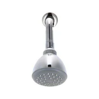 Regadera 1 Función Abs Con Brazo 15cm