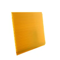 Cielo Raso PVC 10 mm x 3 Mts Madera Claro x 15 Unidades