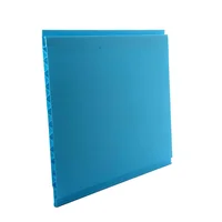 Cielo Raso PVC 10 mm x 3 Mts Azul Pastel x 15 Unidades