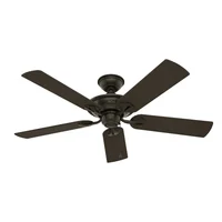 Ventilador De Techo Decorativo Sin Luz 5 Aspas 6169 CFM Hunter Fan