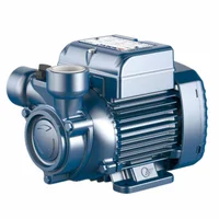 Electrobomba Periférica 0.6 Hp 110/220V PQm81 Pedrollo