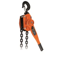 Diferencial de Palanca 3 Ton