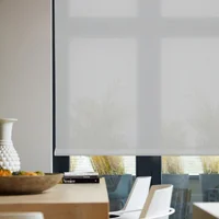 Enrollable Solar Screen 10 Gris A La Medida Ancho Entre 260.5-280  cm Alto Entre  160.5-180 cm