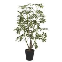 Cheflera Schefflera Artificial De 172 Cm