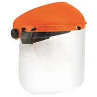Careta Facial Protector