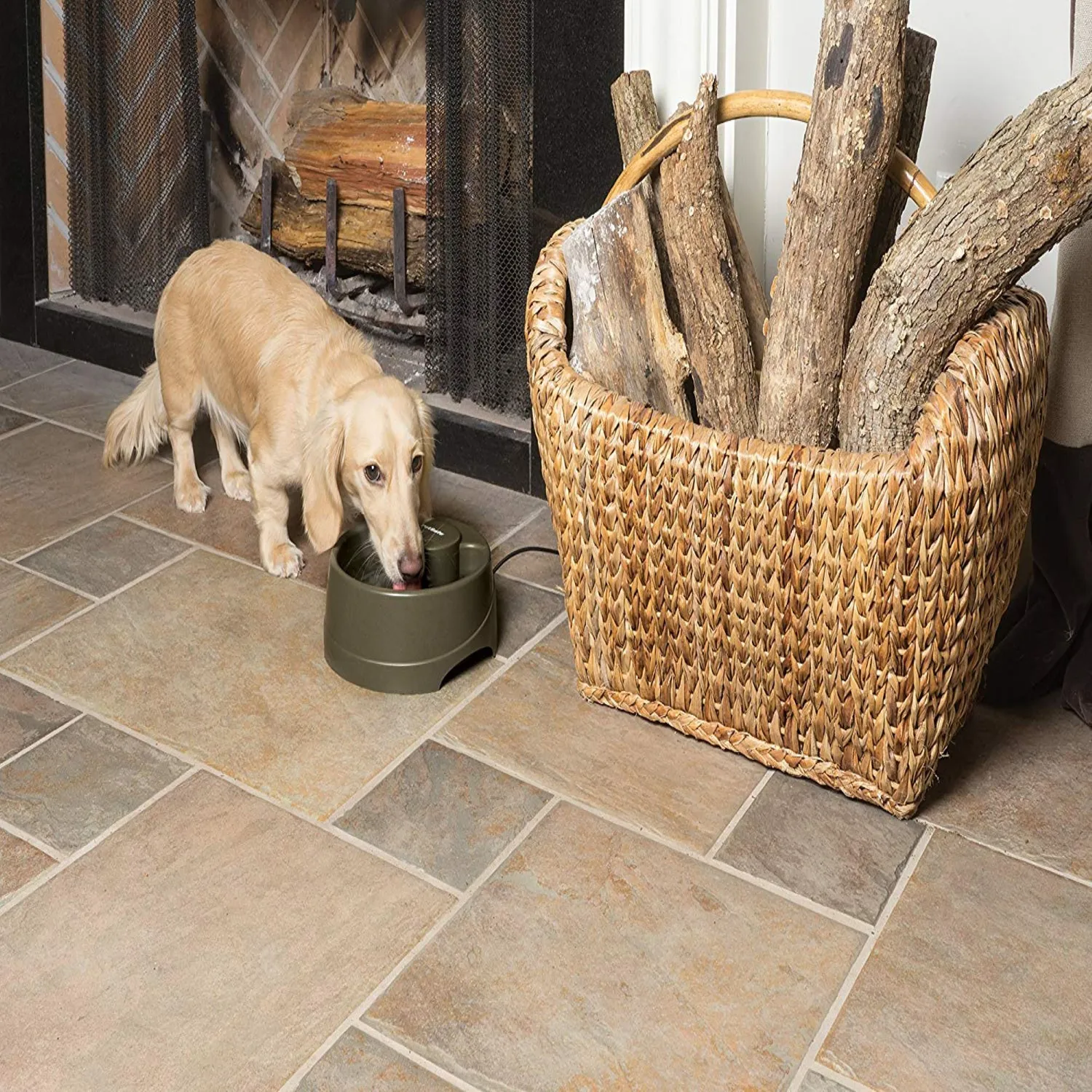 Fuente De Agua Para Perro  Petsafe 4L 3