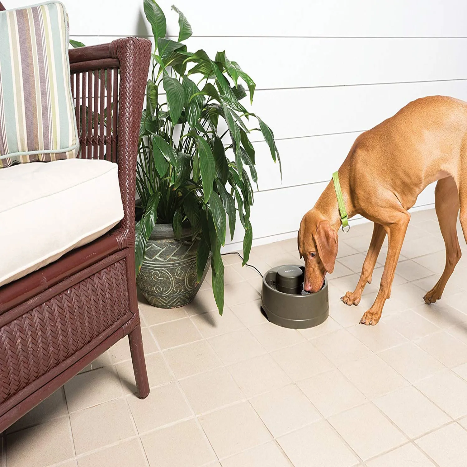 Fuente De Agua Para Perro  Petsafe 2.4L