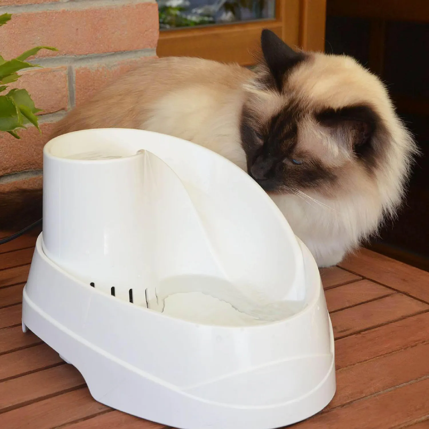 Fuente Para Perro Y Gato Vega 2Lt