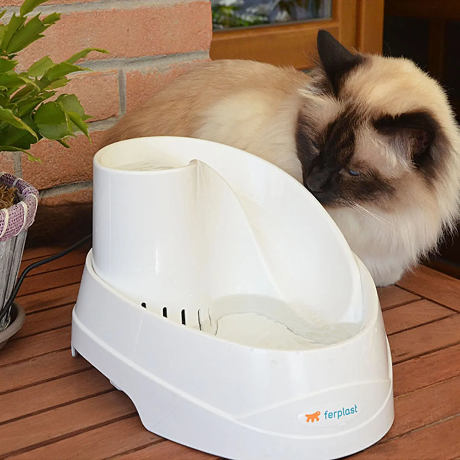 Fuente Para Perro Y Gato Vega 2Lt 4