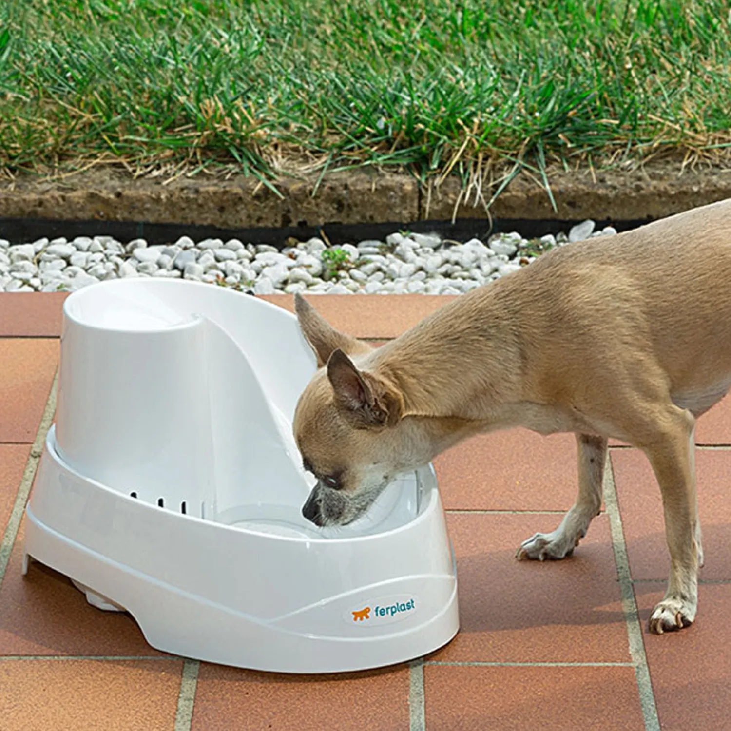Fuente Para Perro Y Gato Vega 2Lt 8