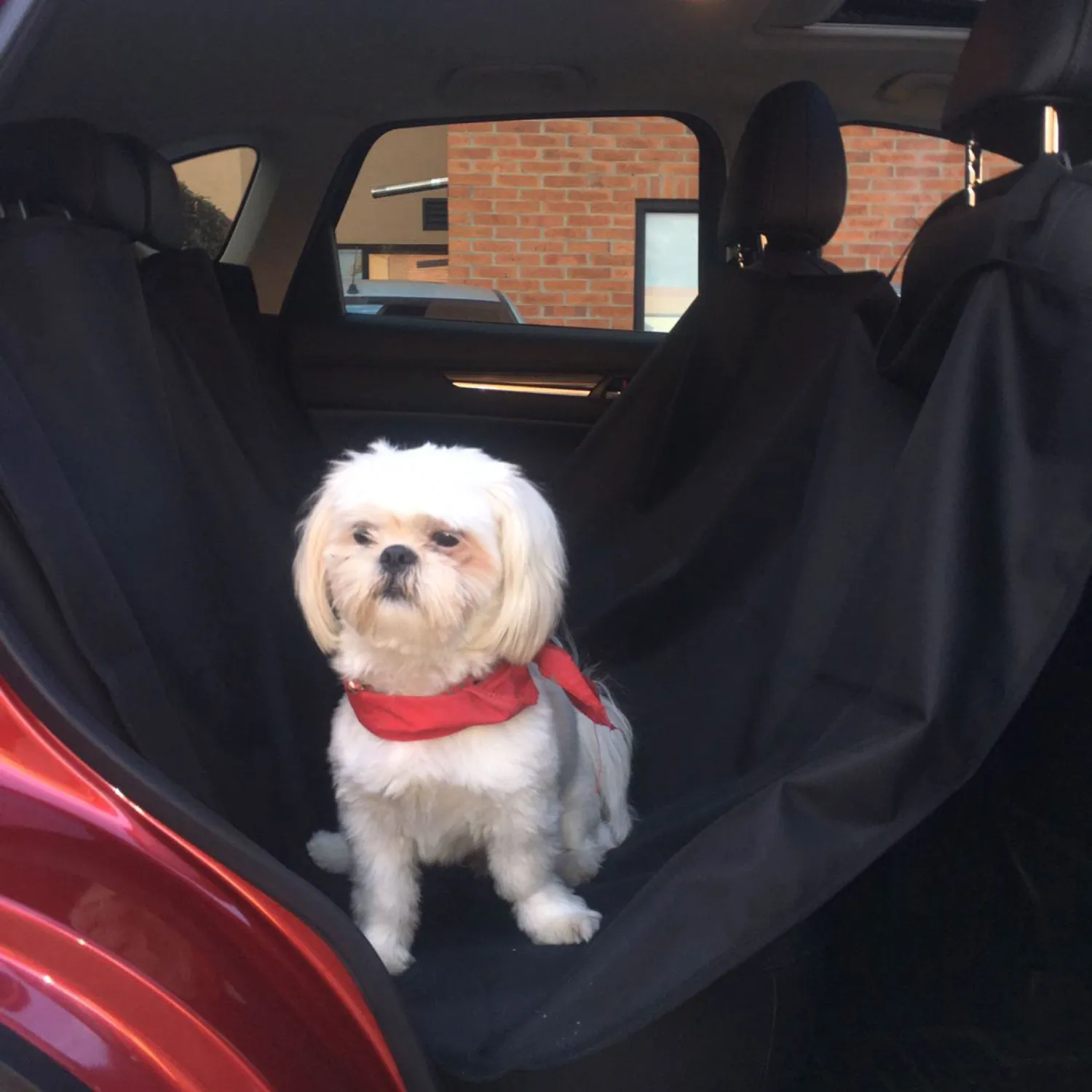 Protector De Carro Para Mascotas Karytex Negro