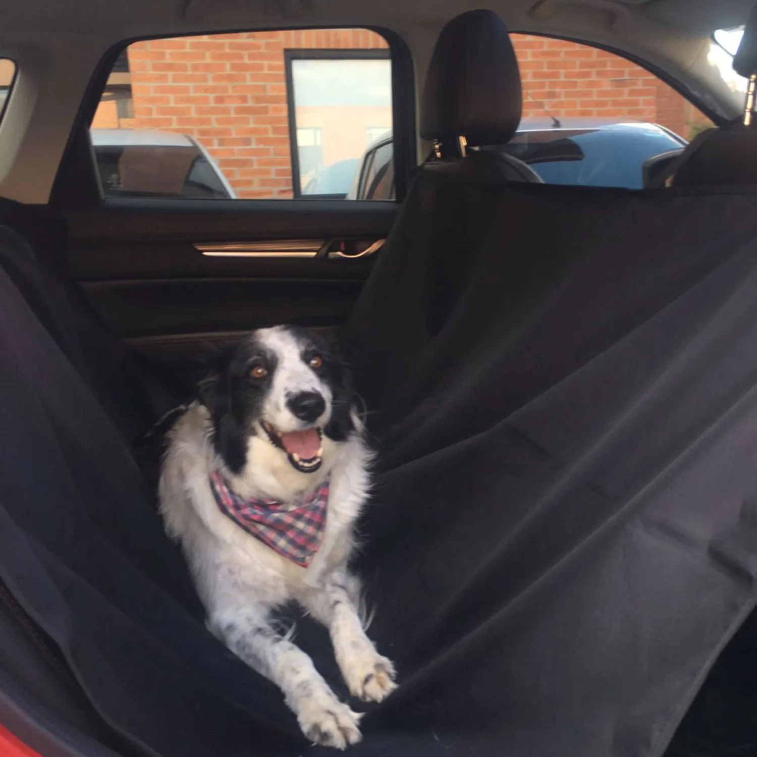 Protector De Carro Para Mascotas Karytex Negro