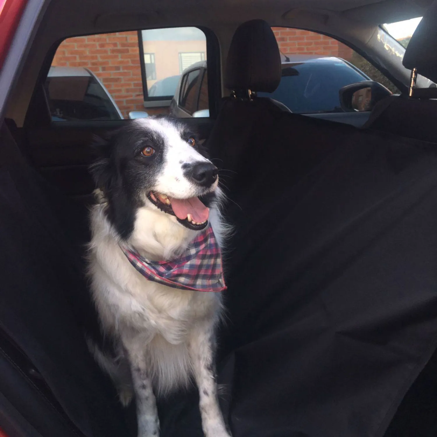 Protector De Carro Para Mascotas Karytex Negro 4