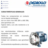 Electrobomba Centrífuga 1.5 Hp 1 ½ Hp 220V 1F Acero Inoxidable 304 AL-REDm650-4 Pedrollo