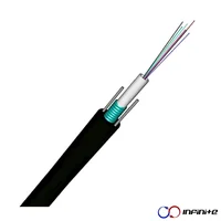 Fibra Óptica Armada Monomodo 24 Hilos 1 Metro
