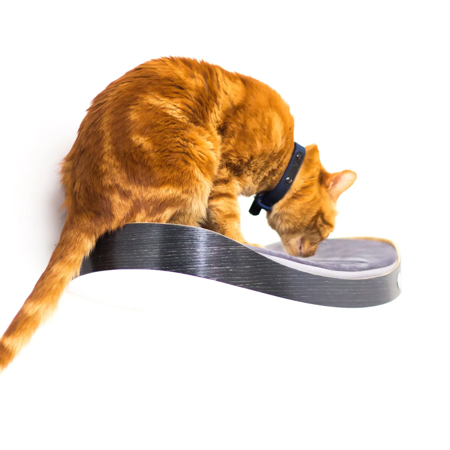 Repisa Flotante Para Gatos 50X32X13Cm Mediano Roble 3