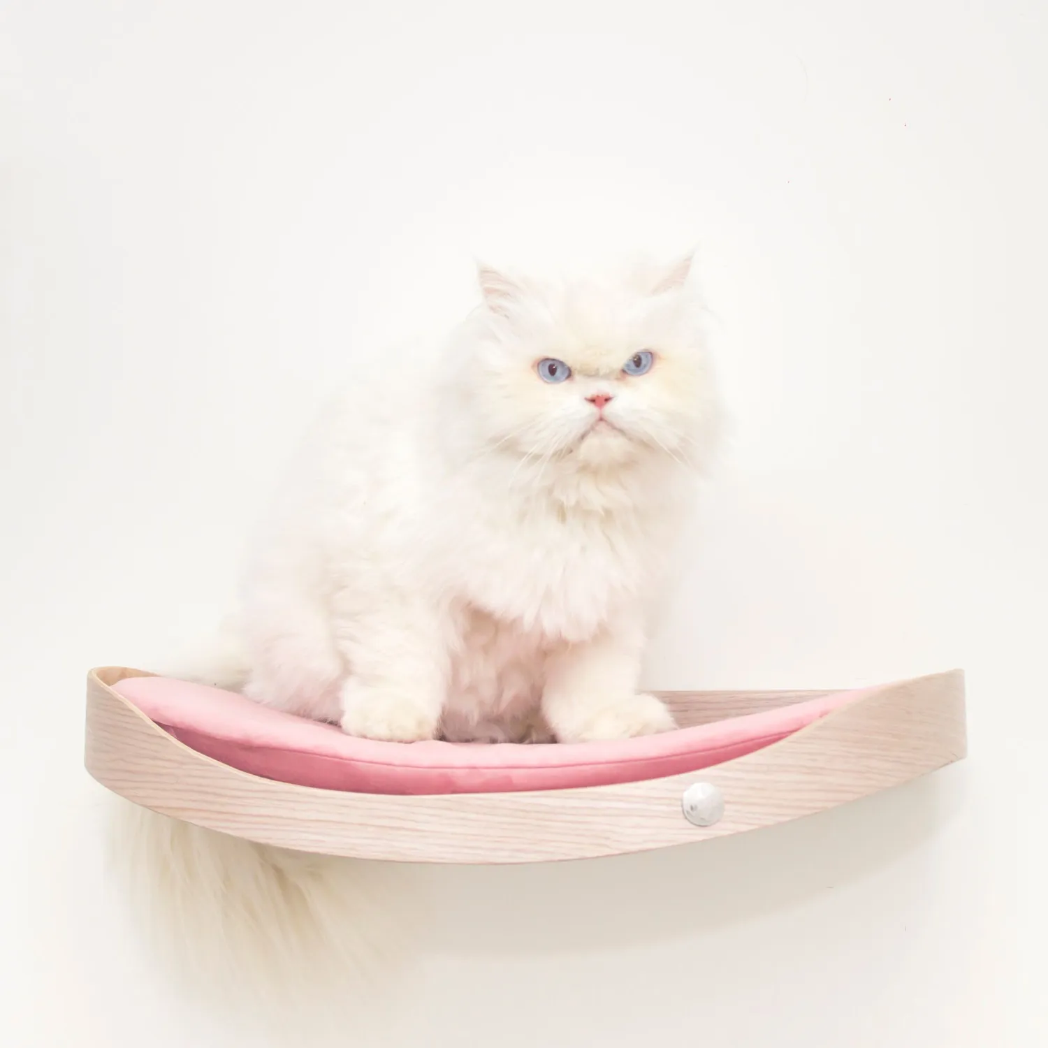 Repisa Flotante Para Gatos 50X32X13Cm Mediano Flotante