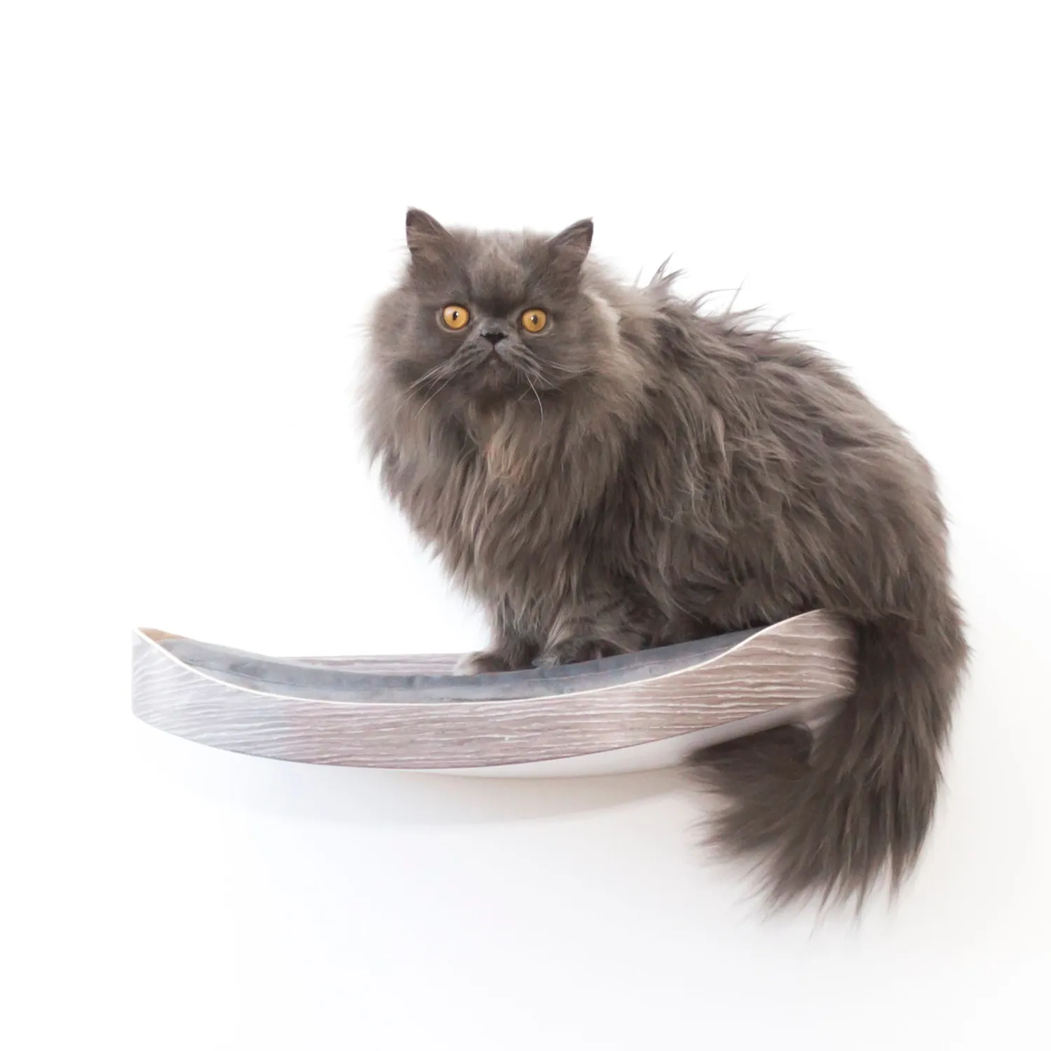 Repisa Flotante Para Gatos 50X32X13Cm Mediano Gris